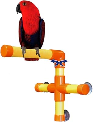 Mât perroquet avec ventouses à accrocher aux fenêtres et portes de zoo max. DIAYTAR COTE D'IVOIRE est la boutique en ligne par excellence en Cote d'Ivoire, avec une offre de produits sans égale. Vous pouvez trouver tout ce qu'il vous faut, des produits pour la maison aux produits pour les loisirs, en passant par les produits pour les enfants et les adultes. La boutique en ligne DIAYTAR COTE D'IVOIRE est votre destination idéale pour faire vos achats en ligne.