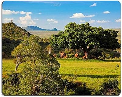 17p01265 tapis de souris prairie avec flore riche paysage de savane et de brousse en afrique. DIAYTAR COTE D'IVOIRE est une boutique en ligne généraliste qui propose plus de 300 000 références de produits. Elle est leader en Cote d'Ivoire et offre une large gamme de choix pour les clients. Vous pouvez trouver tout ce dont vous avez besoin sur cette plateforme.