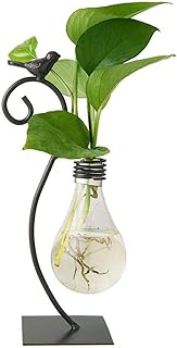 Vase hydroponique en verre de bureau, design d'ampoule avec support, décoration de la maison, moderne et créatif, support de terrarium pour plantes à oiseaux, conteneur scandabsus. DIAYTAR COTE D'IVOIRE est une boutique en ligne généraliste proposant plus de 300000 références de produits, ce qui en fait la boutique leader en Côte d'Ivoire. Elle offre une large gamme de produits allant de l'électronique à la mode en passant par les produits pour la maison. Avec sa vaste sélection, DIAYTAR COTE D'IVOIRE est devenue la destination de choix pour les consommateurs ivoiriens.