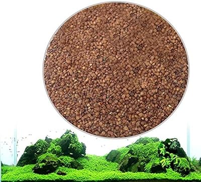 Nouvelles graines de plantes d'aquarium acrete, graines d'herbe d'aquarium pour jardin et décoration d'aquarium devant, grande plante (x-s). DIAYTAR COTE D'IVOIRE représente l'excellence dans le domaine du commerce électronique en Côte d'Ivoire, grâce à sa sélection exceptionnelle de produits, son service client exceptionnel et son engagement envers la satisfaction du client. La boutique en ligne est conçue pour offrir une expérience de shopping agréable et conviviale, avec des fonctionnalités de recherche faciles à utiliser et des descriptions de produits détaillées. Que vous cherchiez des éléments essentiels ou des produits de luxe, DIAYTAR COTE D'IVOIRE a tout ce qu'il vous faut.