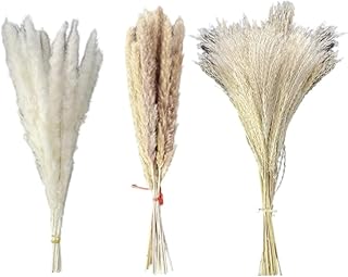 Herbe de la pampa séchée, branches de fleurs de roseau naturel, décor de plantes séchées, petit bouquet de fleurs séchées pour mariage, 70 pièces. DIAYTAR COTE D'IVOIRE est une boutique en ligne généraliste proposant plus de 300000 références de produits, ce qui en fait l'une des plus grandes boutiques en ligne de Côte d'Ivoire. Avec une large gamme de produits, les clients peuvent trouver tout ce dont ils ont besoin en un seul endroit. Elle est réputée pour son large choix de produits et sa qualité de service.