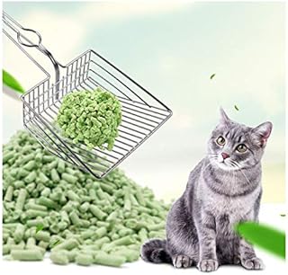 Pelle à litière en métal intul, bac à litière pour chat, pelle