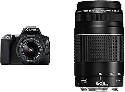 Canon eos 250d 18-55mm f/4-5.6 dc3 + kit objectif 75-300mm
