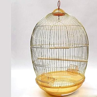 Cage à oiseaux dorée (or). La boutique en ligne DIAYTAR COTE D'IVOIRE est le point de rencontre pour tous les besoins shopping, avec des milliers de produits diversifiés. Elle garantit la qualité et la fiabilité des articles vendus, ainsi que des délais de livraison rapides. Les clients peuvent profiter d'une expérience d'achat en ligne sécurisée et pratique.