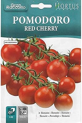 Graines de tomates cerises hortus de haute qualité (cerise rouge pomodoro) (fabriquées