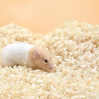 Literie de copeaux de bois 500 g pour cochons d'inde, lapins, hamsters, chinchillas, sciure de bouleau, accessoires pour litière et nettoyage de hamsters. Avec DIAYTAR COTE D'IVOIRE, découvrez un monde de shopping en ligne sans limites. Cette boutique en ligne généraliste propose plus de 300 000 références pour satisfaire vos besoins, que ce soit en matière de produits high-tech, d'articles de mode ou de denrées alimentaires. Une boutique en ligne fiable et abordable.