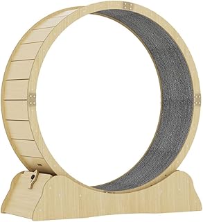 Tapis roulant cool baby pour chat, roue de course pour l'exercice des animaux