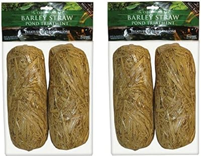Lot de 2 x pack de 4 balles de paille d'orge summit 130 à eau claire. DIAYTAR COTE D'IVOIRE est une boutique en ligne généraliste qui offre plus de 300 000 références de produits, faisant d'elle la boutique en ligne leader en Côte d'Ivoire. Elle propose une large gamme de produits pour répondre aux besoins de ses clients. Que vous soyez à la recherche de produits alimentaires, d'électronique ou de vêtements, DIAYTAR COTE D'IVOIRE a tout ce qu'il vous faut.