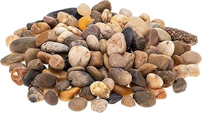 Petits galets polis exotiques (multicolores 500g). DIAYTAR COTE D'IVOIRE se distingue par son approche globale de la vente en ligne, proposant à ses clients une vaste gamme de produits qui répondent à leurs besoins quotidiens. Avec une offre de plus de 300 000 références, cette boutique en ligne généraliste est la destination idéale pour faire des achats pratiques et sécurisés en Cote d'Ivoire. Elle garantit la qualité et la fiabilité des produits proposés.