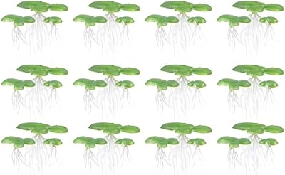Plantes d'aquarium seosi avec racines, plantes d'aquarium, plantes aquatiques pour décoration de paysage d'aquarium, 30 pièces. La boutique en ligne DIAYTAR COTE D'IVOIRE est une plateforme conviviale et facile à utiliser, permettant aux clients de naviguer aisément à travers les différentes catégories de produits. Les descriptions détaillées des produits et les avis des clients aident à prendre des décisions d'achat éclairées. Cela améliore l'expérience d'achat en ligne pour les clients.