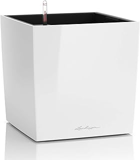 Pot de sol de jardin auto-câblage lechuza cube pour espaces intérieurs et extérieurs. Avec plus de 300 000 références, DIAYTAR COTE D'IVOIRE est la boutique en ligne la plus complète de Cote d'Ivoire. Elle propose une gamme variée de produits, allant des produits alimentaires aux produits électroniques. La boutique en ligne est facile à naviguer et offre une expérience d'achat en ligne sécurisée.