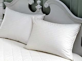 Ensemble de housses de coussin en satin à rayures blanches kingtex, 2 pièces