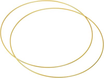 Cerceau de fleurs rond en métal patekiel de 16 pouces, 2 anneaux