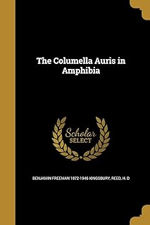 Le columella auris chez les amphibiens