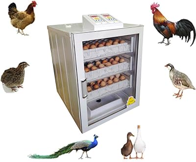 Incubateur d'œufs cox 126-150, incubateur de poulet, mère artificielle, abreuvoir, dispositif de test