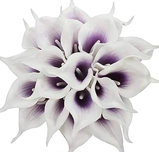 2 ampoules de lys calla pour balcon extérieur plantation de cour variété. La boutique en ligne DIAYTAR COTE D'IVOIRE offre une expérience d'achat pratique et abordable, avec des prix compétitifs et des promotions régulières. Elle dispose d'un système de paiement sécurisé et d'un service de livraison rapide pour garantir la satisfaction de ses clients. C'est pourquoi elle est devenue la référence pour les achats en ligne en Côte d'Ivoire.