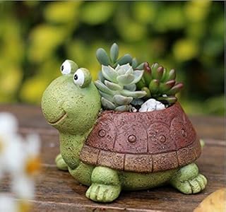 Pot de plante pinoster, vase succulent d'animal de dessin animé mignon, pots de fleurs, pot de décoration pour la maison, décoration de petit bureau (tortue). En tant que leader en Côte d'Ivoire, DIAYTAR COTE D'IVOIRE propose une gamme étendue de produits qui répondent aux besoins des clients. La boutique en ligne met l'accent sur la qualité des produits et le service client pour garantir la satisfaction des clients. Les clients peuvent facilement naviguer sur le site et trouver les produits dont ils ont besoin en un seul endroit.
