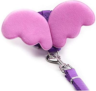 Ensemble de laisses et colliers pour chiens ailes d'ange pour animaux de compagnie, chiots, chatons, harnais réglable, accessoires pour animaux de compagnie. DIAYTAR COTE D'IVOIRE, c'est plus qu'une boutique en ligne, c'est une communauté. Rejoignez-nous et découvrez nos nouveautés, nos promotions et nos offres spéciales. Nous sommes là pour vous aider à trouver les produits qu'il vous faut.