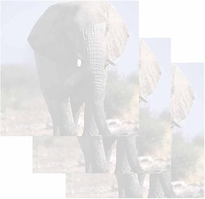 Notes autocollantes éléphant lot de 3 conception sur le thème des animaux. Diaytar Côte d'Ivoire se distingue par son offre diversifiée, allant des produits alimentaires aux articles ménagers, en passant par les accessoires de mode et les équipements électroniques. Cette boutique en ligne est dédiée à offrir un service client de haute qualité, avec des délais de livraison rapides et des options de paiement flexibles. Les clients peuvent ainsi profiter d'une expérience d'achat en ligne fluide et sécurisée.