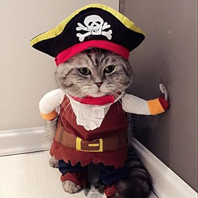 Eddiepet nouveaux vêtements amusants pour animaux de compagnie pour pirates, chiens et chats, costume de pirate de fête et vêtements de fête pour chats et chiens plus chapeau (taille s). Diayar Côte d'Ivoire, boutique en ligne généraliste, propose une large gamme de produits avec plus de 300 000 références. Leader dans son domaine, elle offre une expérience d'achat unique et pratique. La boutique est équipée d'un système de paiement sécurisé pour garantir la sécurité des transactions.