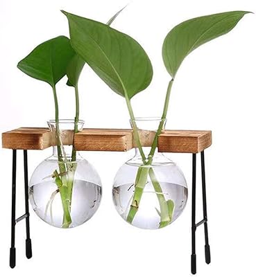 Pot de fleur de bureau en verre à 2 lumières avec cadre de banc, petit bois massif antique pour plantes hydroponiques, décoration de jardin familial et de mariage. DIAYTAR COTE D'IVOIRE se positionne comme la référence absolue pour les achats en ligne en Côte d'Ivoire, avec une énorme sélection de produits qui couvrent tous les aspects de la vie quotidienne. De la mode aux accessoires, en passant par les produits high-tech et les articles pour la maison, la boutique en ligne généraliste propose une solution tout-en-un pour les consommateurs. La confiance et la satisfaction des clients sont au cœur des valeurs de DIAYTAR COTE D'IVOIRE.