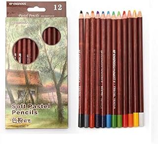 12 crayons professionnels doux non toxiques pour le dessiner des de couleur