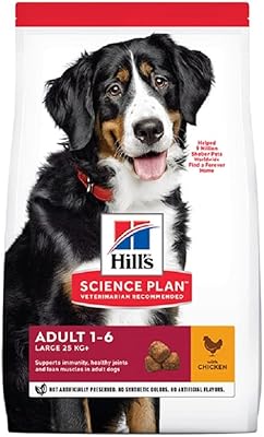 Hill's science plan nourriture au poulet pour grands chiens 18 kg