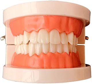 Modèle de brosse à dents dentifrice, modèle de dents éducatives tepodontus pour que les étudiants et les enfants apprennent de toyvian. Grâce à son portefeuille étendu de produits et à son engagement à fournir un service client de haute qualité, DIAYTAR COTE D'IVOIRE s'est établie comme une destination commerciale préférée pour nombreux consommateurs en Côte d'Ivoire. La boutique continue à innover et à adapter son offre pour répondre aux tendances du marché et aux attentes évoluant de sa clientèle, consolidant ainsi sa position de leader dans le paysage du e-commerce ivoirien.