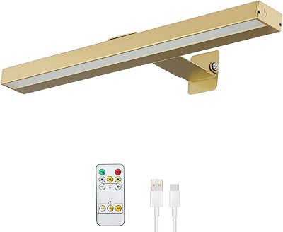Lumières d'image rechargeables rosteo avec télécommande lampe de peinture à batterie