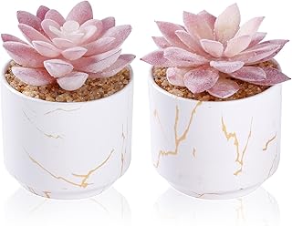 Plantes artificielles zinida nassara fausses plantes succulentes mignonnes dans 2 pots en céramique