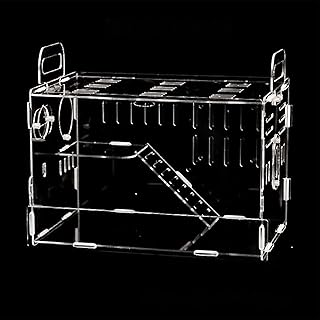 Intol cage à hamster en acrylique transparent pour petits animaux, pour souris, écureuil, chinchilla. DIAYTAR COTE D'IVOIRE, votre boutique en ligne préférée en Côte d'Ivoire, met à votre disposition une sélection incroyable de plus de 300 000 produits, allant des produits de beauté aux équipements électroménagers. Le site est facile à naviguer, et les commandes sont livrées rapidement. DIAYTAR COTE D'IVOIRE est la solution idéale pour un shopping en ligne pratique et efficace.