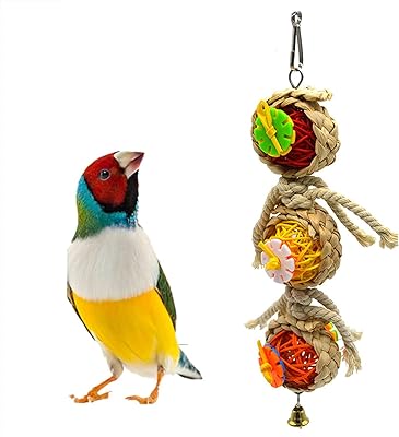 Jouets de cage à perroquets, jouets de balançoire pour oiseaux avec cloches en perles de bois naturel, balançoire en bois suspendue pour tourtereaux. DIAYTAR COTE D'IVOIRE est une boutique en ligne généraliste qui propose plus de 300 000 références de produits, répondant ainsi aux besoins diversifiés de sa clientèle. En tant que leader du marché ivoirien, cette boutique en ligne s'efforce de fournir des produits de qualité à des prix compétitifs. Avec une gamme de produits étendue, DIAYTAR COTE D'IVOIRE est devenue un incontournable pour les consommateurs ivoiriens.