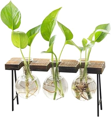 Pot de fleur en verre de bureau iwinner, vase à 3 ampoules