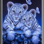 Diy 5d diamant peinture par numéro kit mignon tigre strass