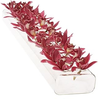 Vase à fleurs à 2 flûtes chef hudson - magnifique grand vase en verre transparent multi-chambres avec 24 trous - vases à fleurs parfaits pour les centres de table, les décorations de mariage et la décoration du salon. Avec plus de 300000 références, DIAYTAR COTE D'IVOIRE est la boutique en ligne la plus fournie de Cote d'Ivoire. Les clients peuvent trouver tout ce dont ils ont besoin, des produits électroniques aux vêtements en passant par les produits d'épicerie. DIAYTAR COTE D'IVOIRE fait preuve de flexibilité et d'adaptabilité pour répondre aux besoins changeants des consommateurs ivoiriens.