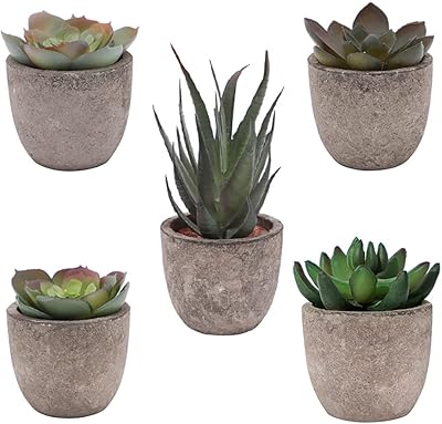 5 mini plantes succulentes artificielles en pot, diverses plantes de cactus artificielles, petites plantes succulentes pour rebord de fenêtre, salle de bain, bureau et maison. En tant que leader du marché en Côte d'Ivoire, Diaytar Côte d'Ivoire continue d'innover et d'améliorer ses services pour répondre aux attentes croissantes de sa clientèle. Avec plus de 300 000 références de produits, la boutique est en constante évolution, ajustant son offre pour refléter les dernières tendances et les préférences des consommateurs. Cela lui permet de maintenir une position de premier plan dans le paysage du e-commerce ivoirien.