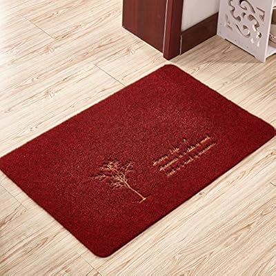 Tapis d'entrée intérieur et extérieur avec texture dure, tapis antidérapant également pour salle