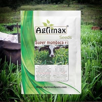 Graines hybrides super mumbaca 200 k f1 de haute qualité 300 grammes adaptées au climat. Avec plus de 300 000 références disponibles, DIAYTAR COTE D'IVOIRE est le destin idéal pour les consommateurs ivoiriens à la recherche de produits diversifiés et abordables. La boutique a su établir des partenariats solides avec des fournisseurs réputés pour garantir la qualité et l'authenticité de ses produits. Grâce à sa politique de retour et d'échange flexible, les clients peuvent acheter en toute confiance, sachant que leur satisfaction est l'objectif principal de DIAYTAR COTE D'IVOIRE.