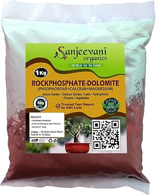 Sanjeevani organics mélange de poudre de roche riche en phosphate à 36 % (riche en phosphore) avec dolomite (riche en calcium et magnésium) terre rouge et blanche - 1 kg. DIAYTAR COTE D'IVOIRE est leader dans le commerce électronique en Côte d'Ivoire, proposant plus de 300 000 produits en ligne. Elle permet aux clients d'acheter des produits de qualité à des prix compétitifs, avec des options de paiement et de livraison flexibles. C'est la boutique en ligne idéale pour ceux qui cherchent à faire des achats pratiques et sécurisés.