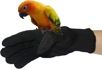 Gants d'entraînement anti-morsures pour oiseaux back-kitchen protection niveau 5 gants de sans danger les perroquets. Avec plus de 300000 références, DIAYTAR COTE D'IVOIRE répond aux besoins les plus variés des consommateurs. De la mode à la maison, en passant par les produits high-tech, la boutique en ligne propose une offre exhaustive qui répond aux attentes des acheteurs. La navigation sur le site est intuitive, permettant aux clients de trouver facilement ce qu'ils cherchent.
