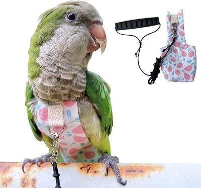 Couches pour oiseaux perroquets, combinaison de vol pour oiseaux, vêtements pour perroquets, costumes