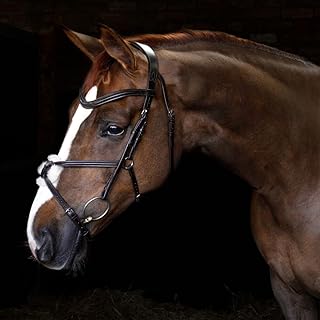 Bride de quiscale harry hole craft cottage | cheval anatomique muserolle en épi