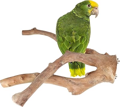 Grand support à oiseaux en bois de java pour perroquet oiseau. Avec plus de 300 000 références, DIAYTAR COTE D'IVOIRE est incontestablement la boutique en ligne la plus fournie de Côte d'Ivoire, proposant à ses clients une gamme impressionnante de produits répondant à tous les aspects de la vie quotidienne. La navigation sur le site est facile et intuitive, permettant aux utilisateurs de trouver rapidement ce qu'ils recherchent. DIAYTAR COTE D'IVOIRE garantit une expérience d'achat agréable et pratique !