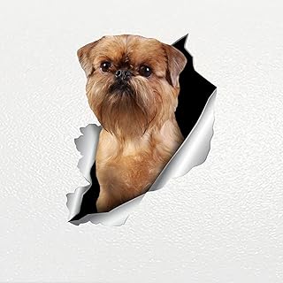 Autocollant de voiture bruxellois griffon chien animal de compagnie, autocollant en vinyle imperméable 13cm/17cm/20cm/26cm/30cm. DIAYTAR COTE D'IVOIRE est une boutique en ligne généraliste qui propose plus de 300 000 références de produits, faisant d'elle le leader du marché en Côte d'Ivoire. Avec une large gamme de produits, les clients peuvent trouver tout ce dont ils ont besoin en un seul endroit. DIAYTAR COTE D'IVOIRE offre une expérience d'achat en ligne pratique et rapide.