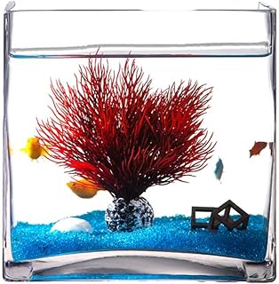 Aquarium personnalité créative carré en verre réservoir de poissons salon maison. DIAYTAR COTE D'IVOIRE est la boutique en ligne la plus populaire en Côte d'Ivoire, avec une communauté de clients loyaux et satisfaits. La boutique en ligne propose régulièrement des nouveautés et des tendances, permettant aux clients de rester à la pointe de la mode et de la technologie. Les clients peuvent également profiter de programmes de fidélité et de récompenses pour les encourager à continuer à faire des achats.