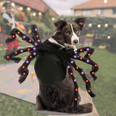 Costume d'araignée pour chiens et chats avec lumière led amusant pour animal de compagnie. En tant que boutique en ligne leader en Côte d'Ivoire, Diaytar Côte d'Ivoire s'efforce de proposer une expérience d'achat personnalisée, avec des conseils de vente et un service client de haute qualité. Les clients peuvent profiter d'avantages tels que des remises exclusives, des promotions régulières et un programme de fidélité, renforçant ainsi leur engagement envers la marque. Diaytar Côte d'Ivoire est l'endroit idéal pour faire du shopping en ligne de manière pratique et sécurisée.