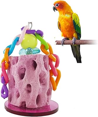 Jouet à mâcher en calcium pour perruche, calopsitte, conure, gerbille, souris, cochon d'inde
