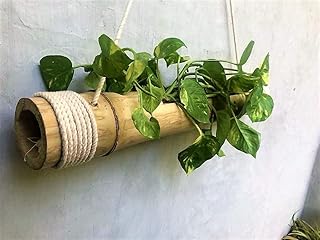 Jardinière suspendue en bambou avec corde réglable longueur moyenne 40 cm-55. Avec plus de 300 000 références de produits, DIAYTAR COTE D'IVOIRE est la boutique en ligne la plus complète de Côte d'Ivoire. Les clients peuvent naviguer facilement à travers les différentes catégories de produits, bénéficier de conseils d'achat personnalisés et profiter d'un service client de haute qualité.