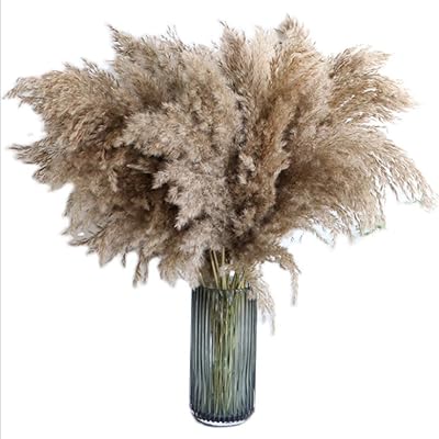 Shiwu big pampas grass - 20 tiges 60 cm, grande herbe de pampa naturelle. bouquet de fleurs de pampa séchées pour la décoration de fête de mariage, plantes naturelles. DIAYTAR COTE D'IVOIRE, boutique en ligne généraliste avec plus de 300000 références, est la boutique leader en Côte d'Ivoire. Elle offre une large gamme de produits pour répondre aux besoins de tous. Que vous soyez à la recherche d'électronique, de vêtements ou de produits alimentaires, DIAYTAR a tout.