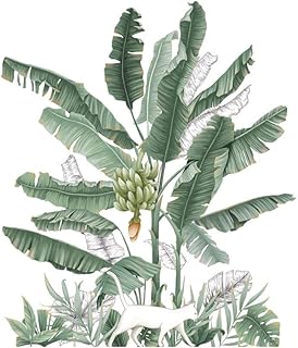 Stickers muraux animaux de la forêt tropicale, plantes, safari, jungle, animaux, éléphants, girafes